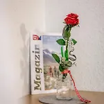 Wiesengrund 3* Ζόλντεν